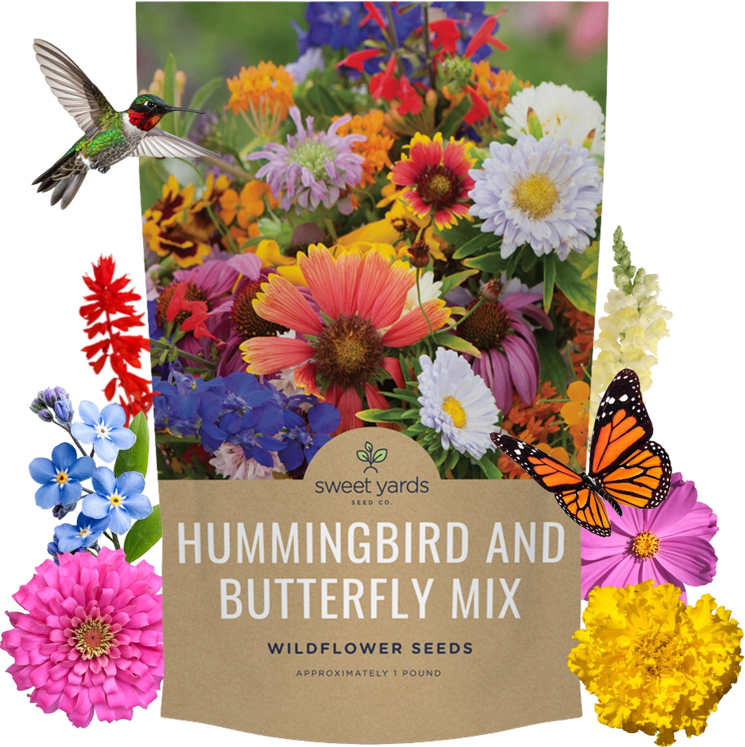 Bulk Wildflower Seeds Butterfly and Hummingbird Mix - 1 Pound Bag - Over 120,000 Open Pollinated Annual and Perennial Seeds