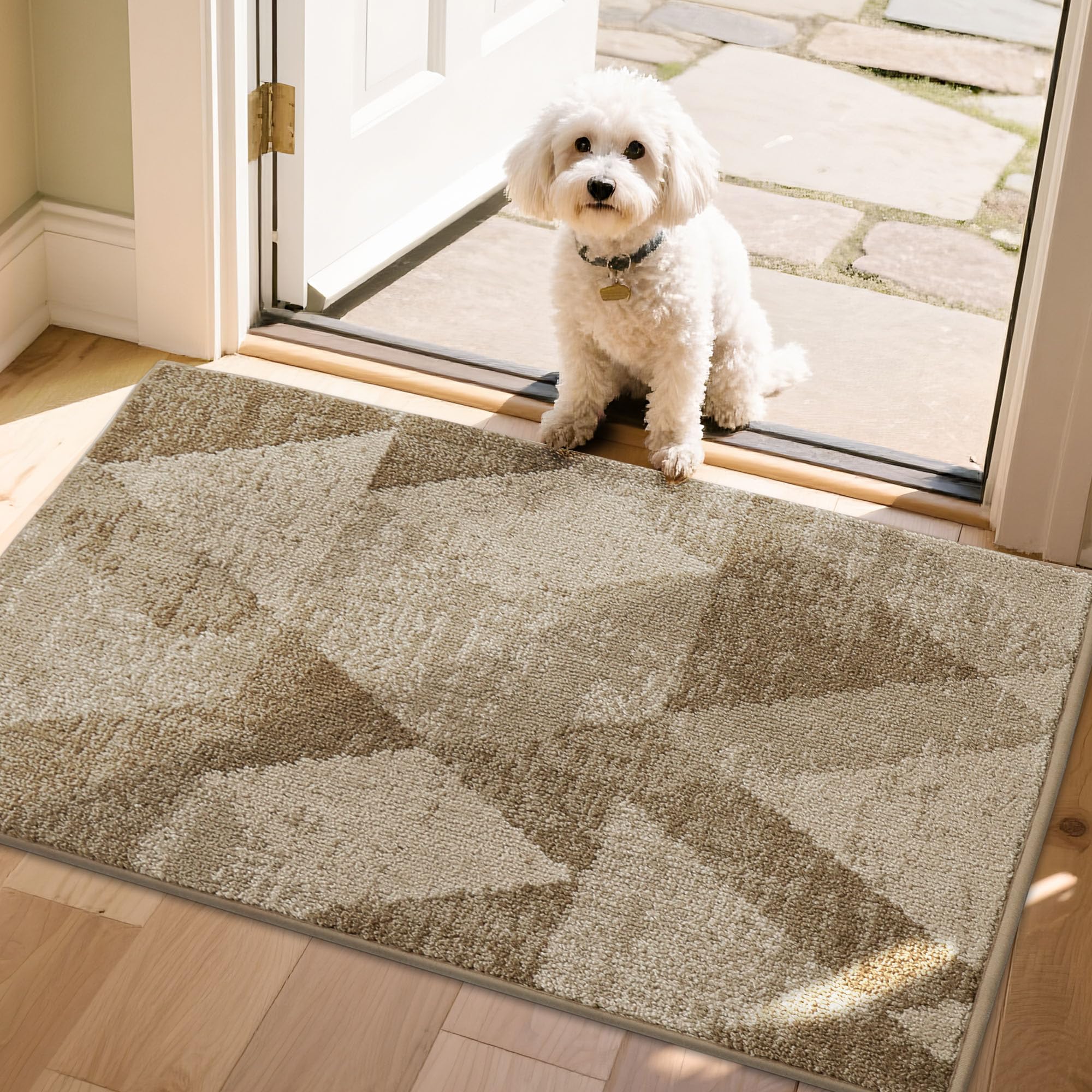 Tapis d'entrée antidérapant COSY HOMEER contre la saleté et boue