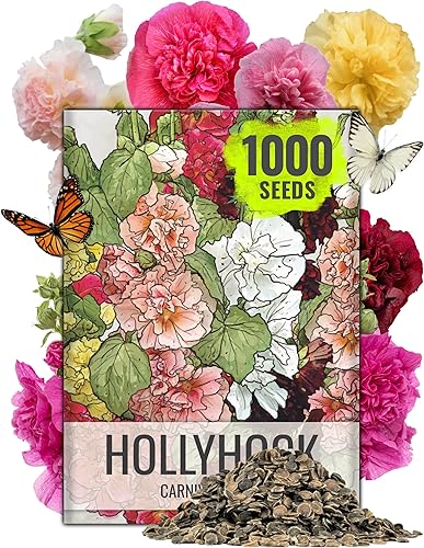 Miniatura 18 de Seed Needs Semillas de flor de luna para plantar flores blancas de verano prolíficas | 1 onza de semillas de vid Ipomoea Alba Las flores de luna