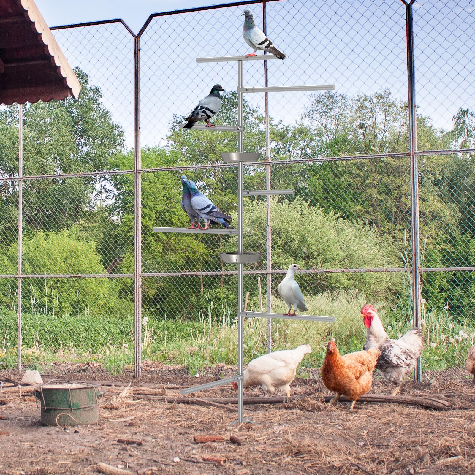 Perchas para Pollos, Juguetes para gallinas,escaleras de gallinas, Juguete de Patio con función de enriquecimiento Ambiental gallinero, Granja para Pollos, Loros y Palomas