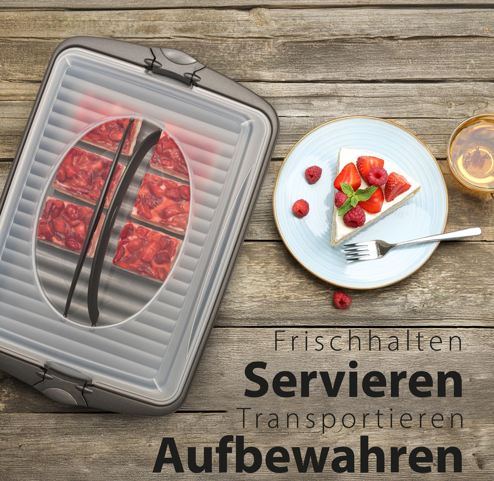 Hausfelder Kuchen Transportbox Set Blechkuchen & quadratisch, BPA-frei
