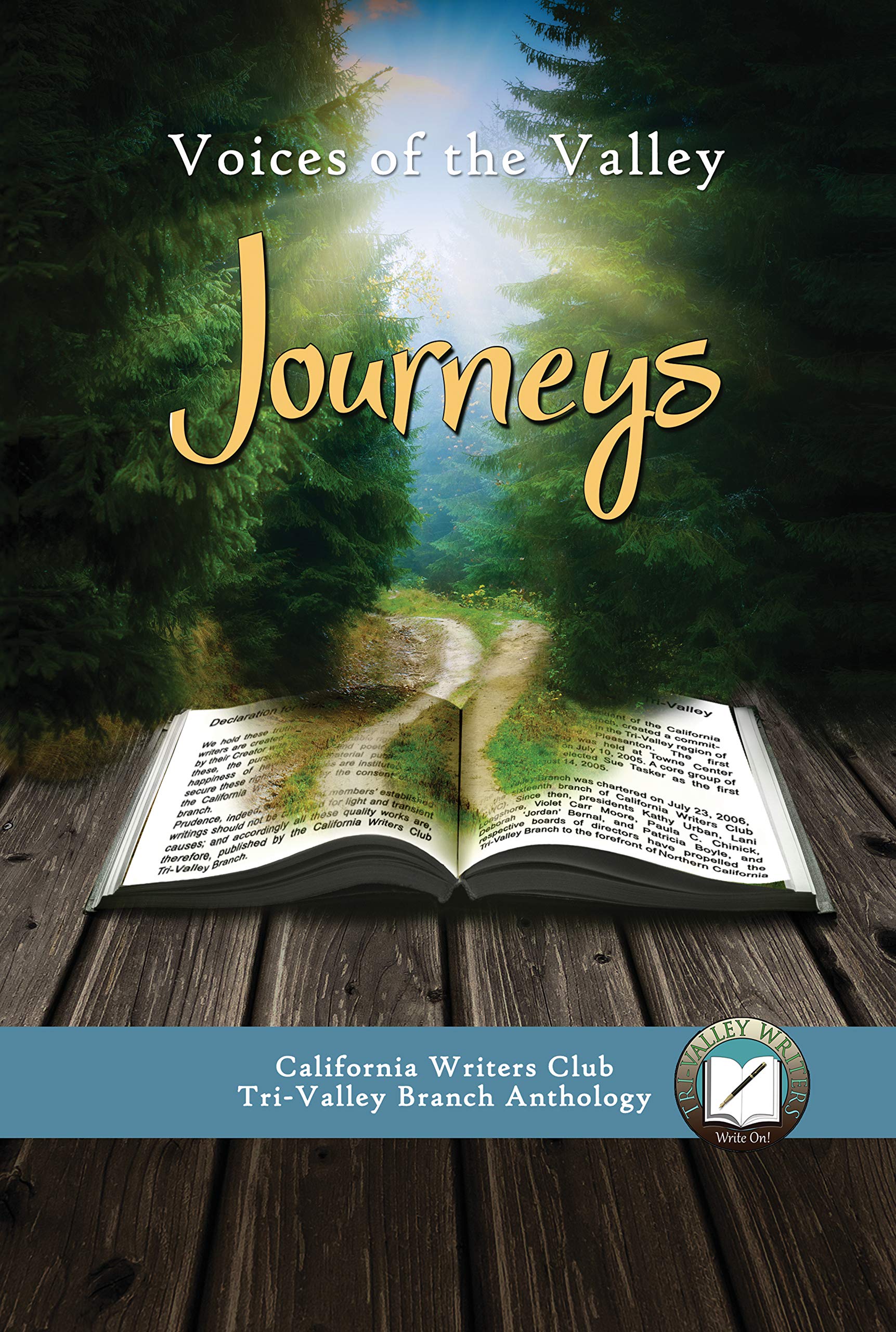 Voices of the Valley: Journeys