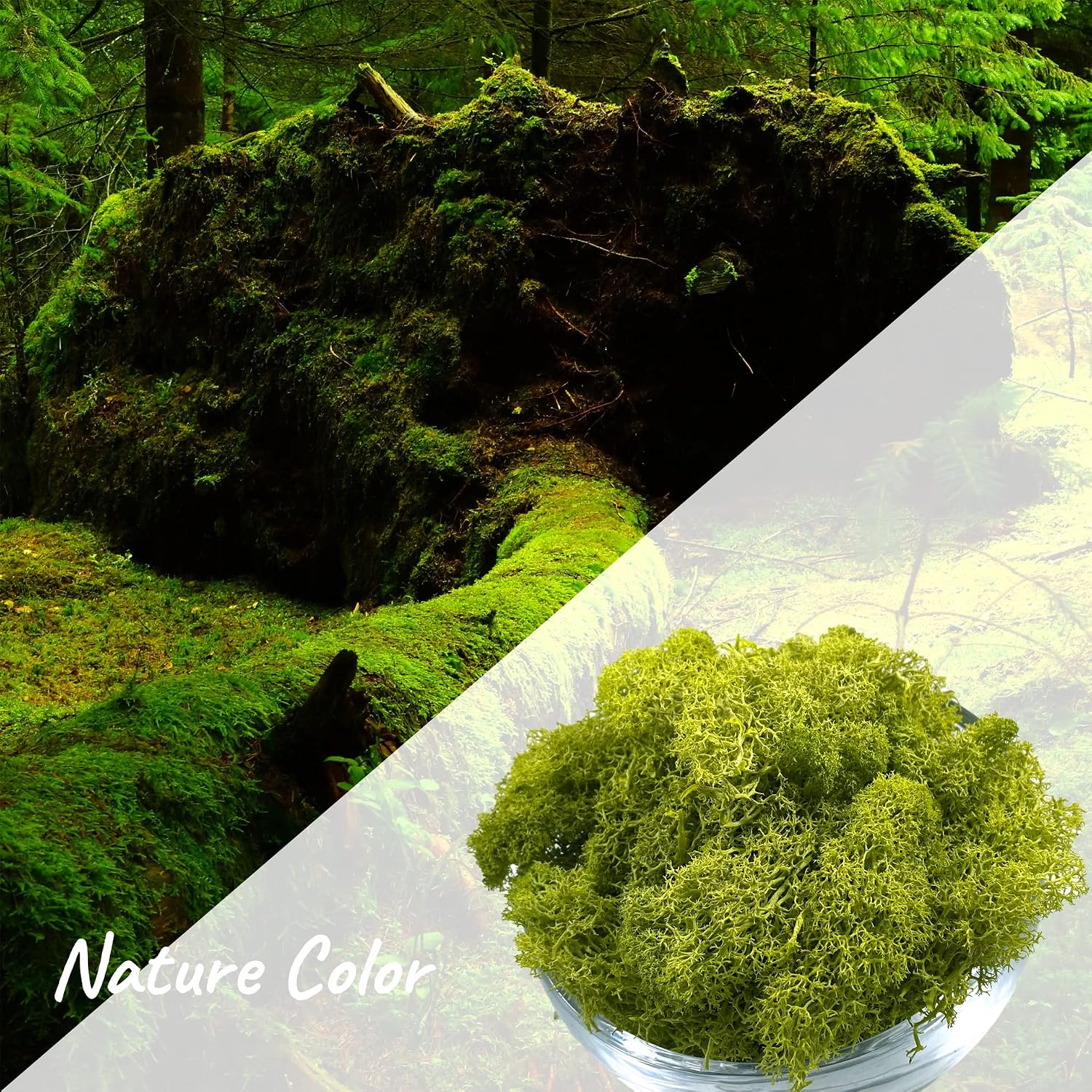 Moss Preserved Artificial Moss - 8.8 oz Natural Fresh Green for Craft, Arts, Floral Projects, Wall & Table Decor, Wedding Centerpieces, Garden Terrariums - Lemon Yellow image 2