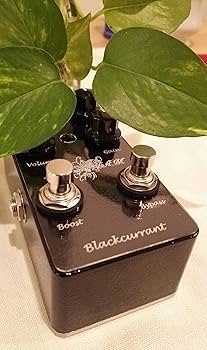 BlackberryJAM Black currant オーバードライブ Blackberry JAM Blackcurrant オーバードライブ【渋谷店】（新品