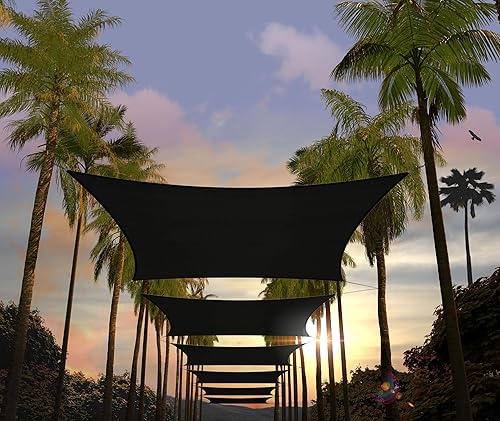 Amgo ATAPS12 - Toldo rectangular, cubierta para el sol, marquesina, 95 % de bloqueo UV, permeable al agua y el aire, comercial y residencial,