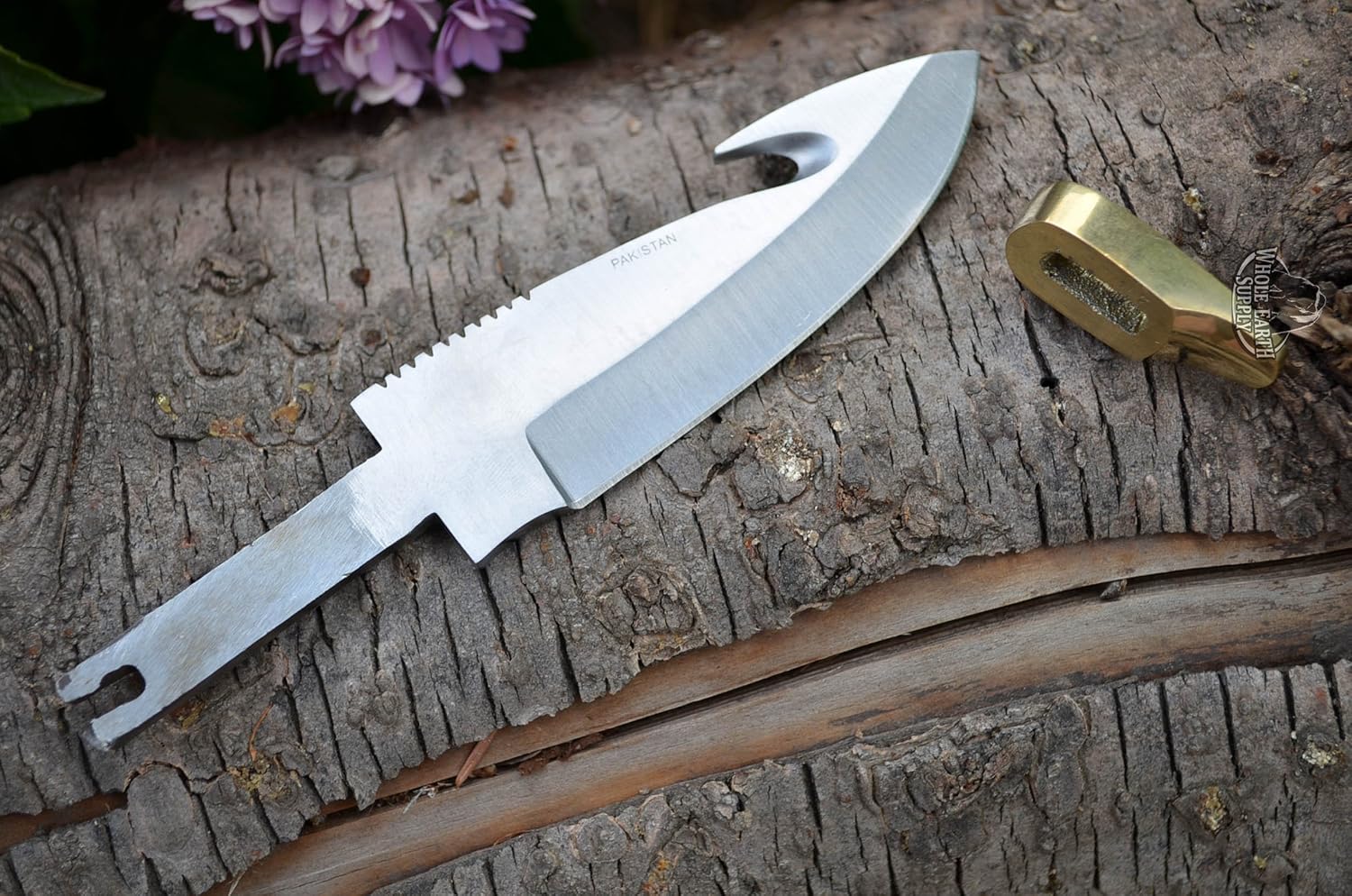 420 Stainless Steel Knife (420 Stainless Steel, Pair of 3.5 Inch Guthook Blades)