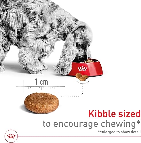 Miniatura 7 de Royal Canin Size Health Nutrition Medium Adult Dry Dog Food