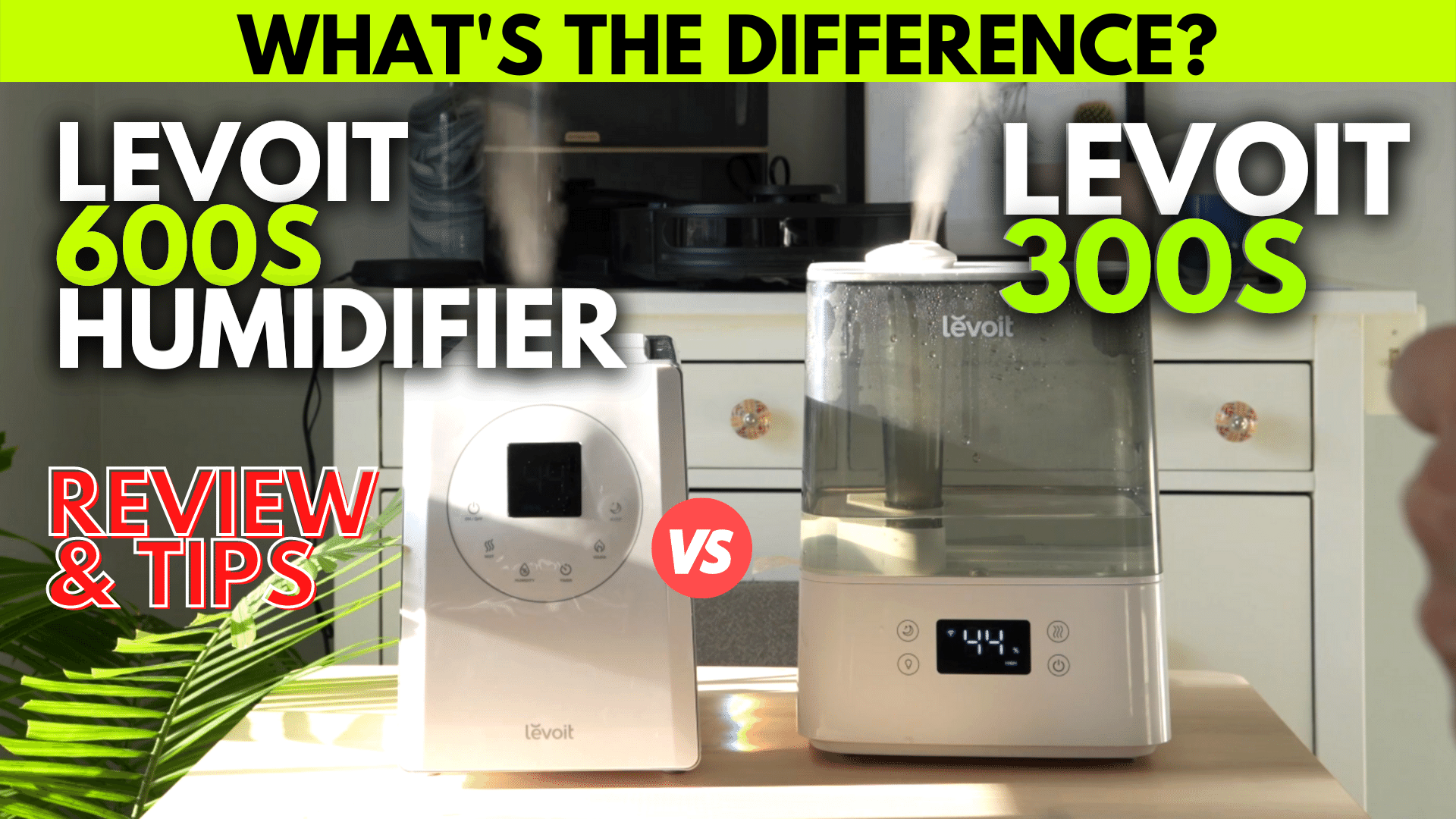 LEVOIT 600S HUMIDIFIER vs 300S Review, Comparison, & App