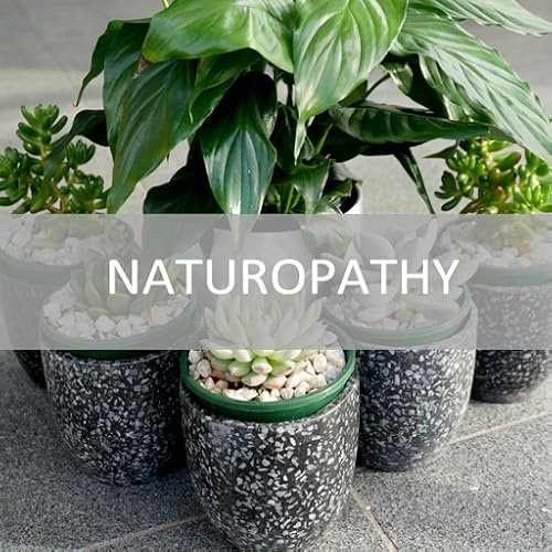 Bliss Apps - Naturopathy