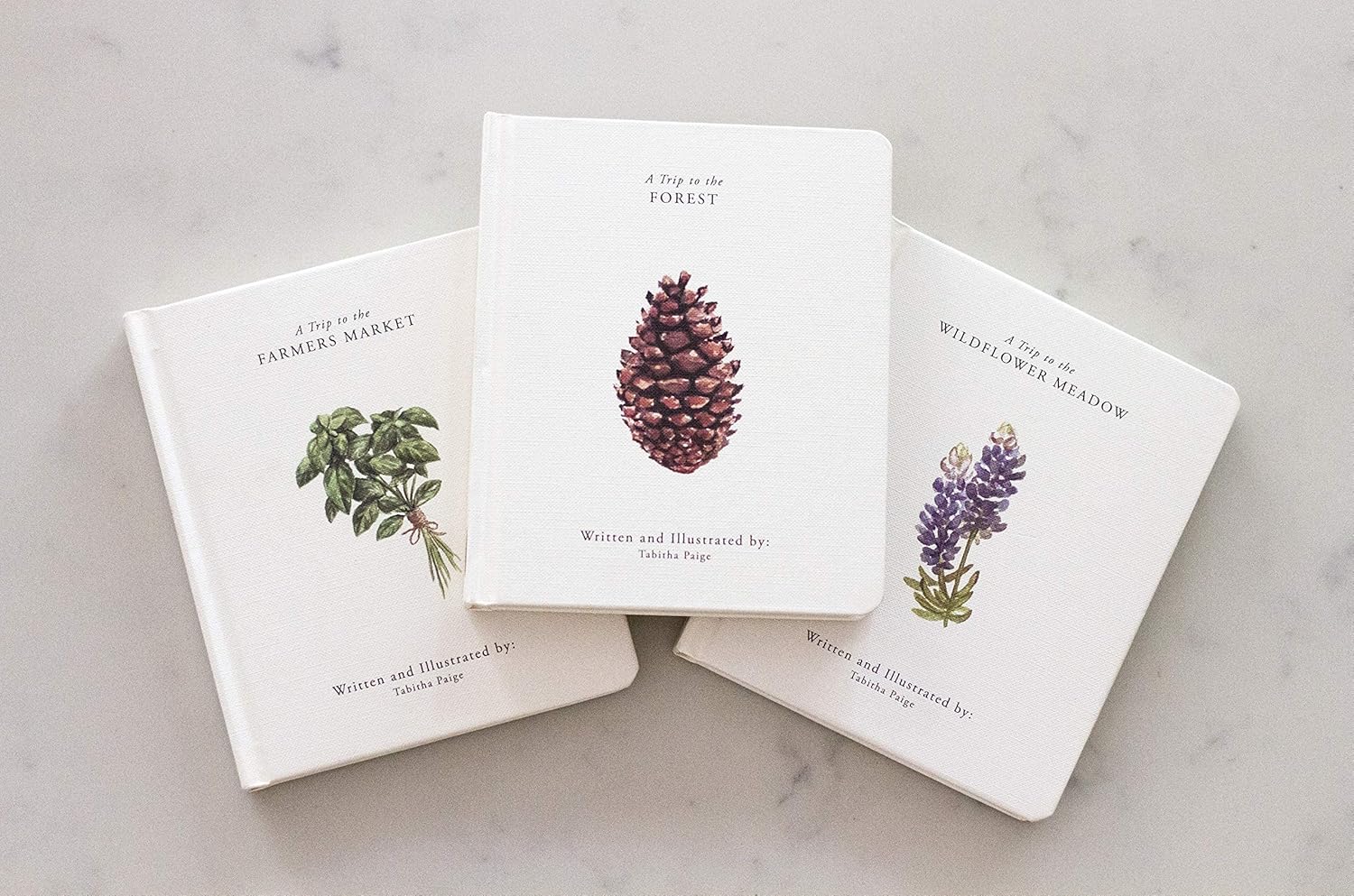 Our Little Adventures: Stories Featuring Foundational Language Concepts for Growing Minds (Tabitha Paige Children's Book Series) - Image 6