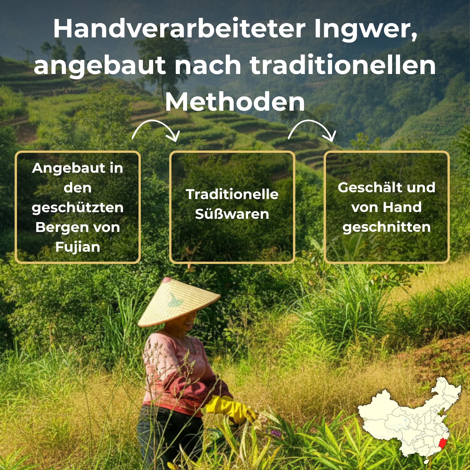 MA bio-épicerie - Kandierter Ingwer Bio in Scheiben 870 g - Getrockneter Ingwer lose ohne Konservierungsstoffe - Bio Trockenfrucht für Küche und Genuss