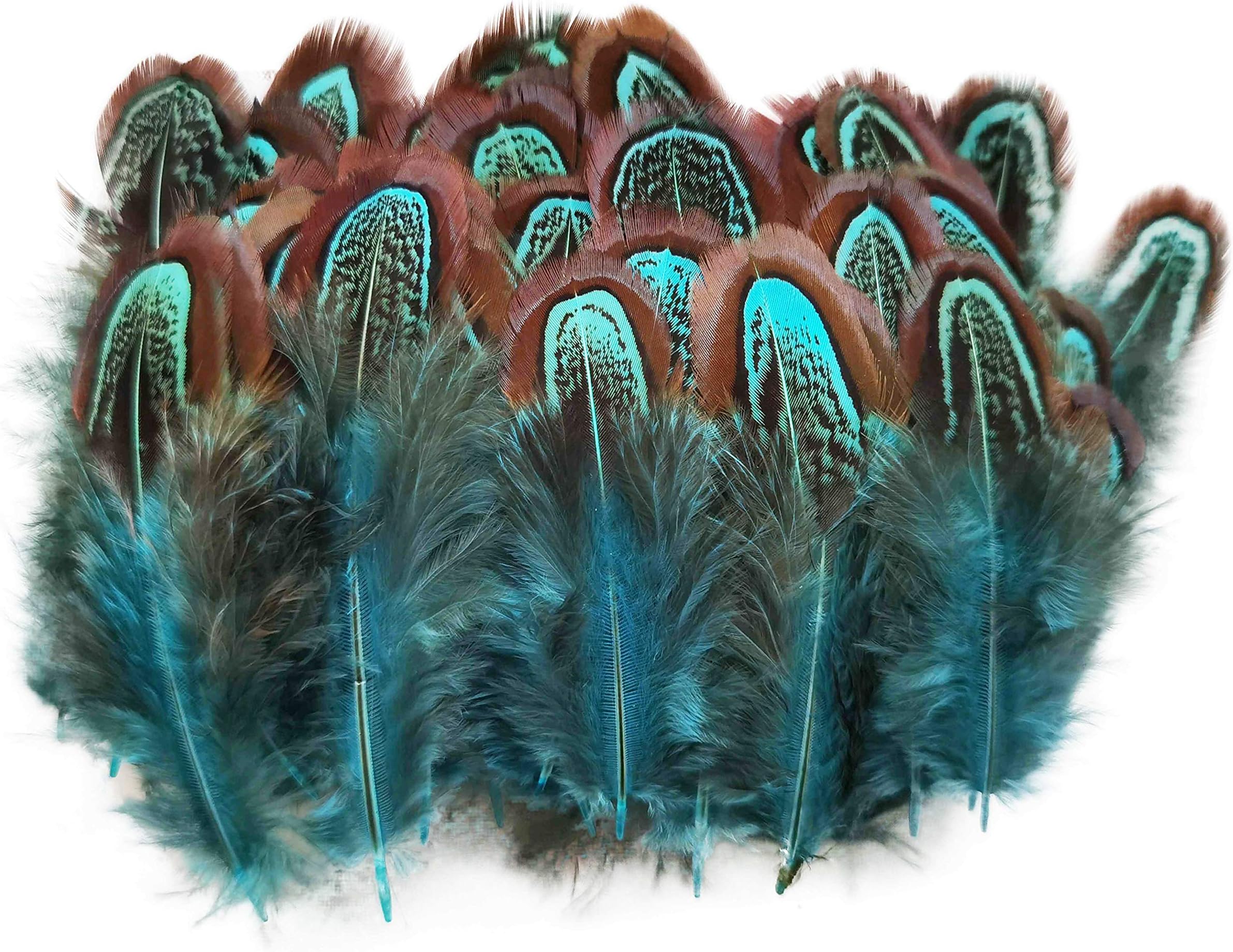 50 pcs Natural Pheasant Plumage Feathers 2-3 Inches Plumage Feathers for Sewing Crafts Clothing Decorating Accessories -Blue