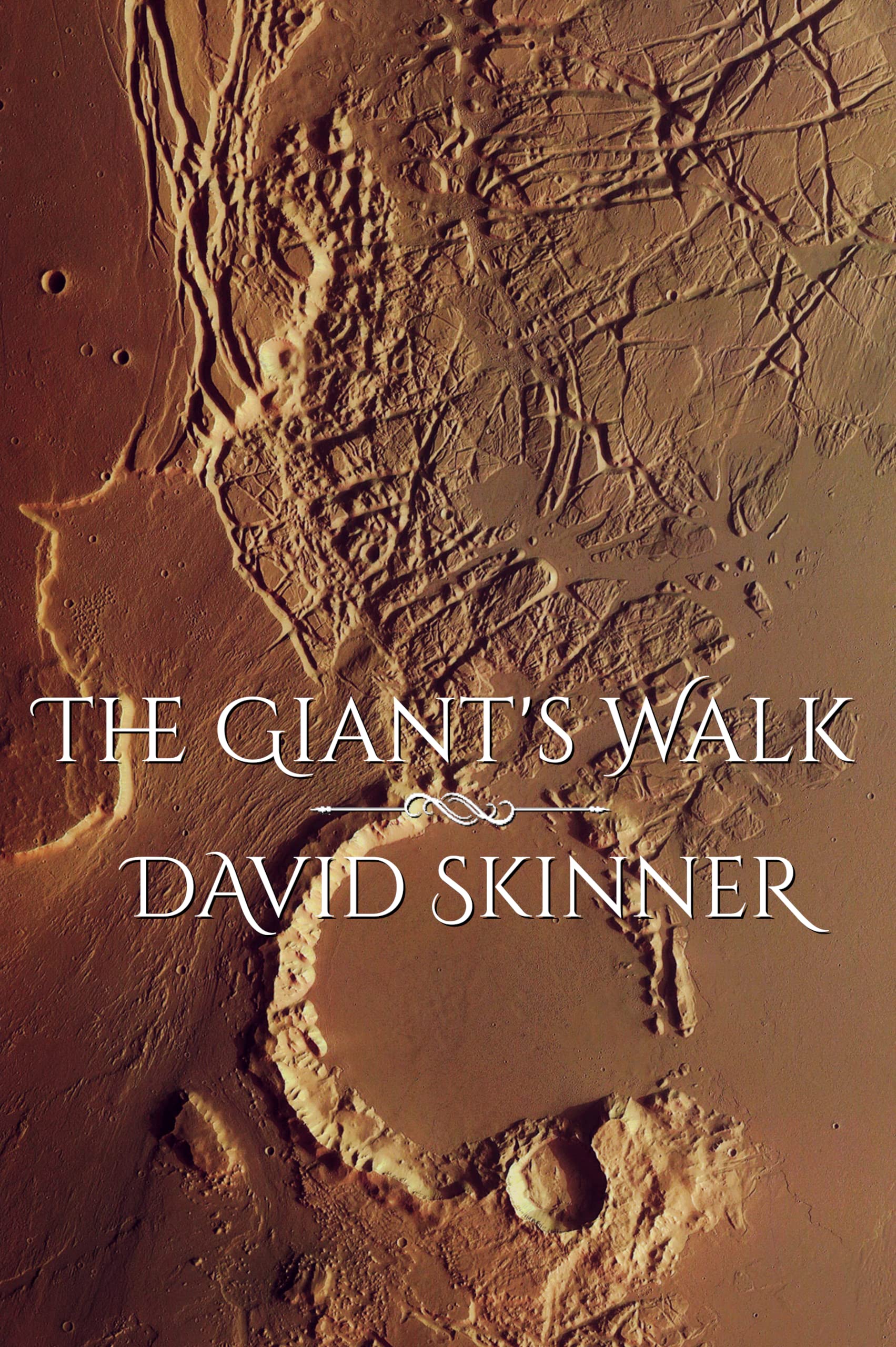 Cover of The Giant's Walk