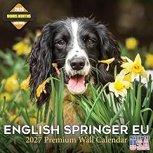 English Springer EU Calendar 2026-2027, 16-Month 12x12 Wall Calendar