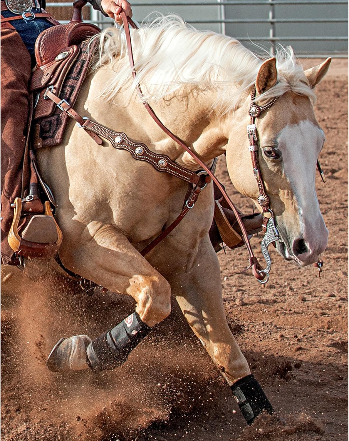 Weaver Leather Stacy Westfall Showtime Collection