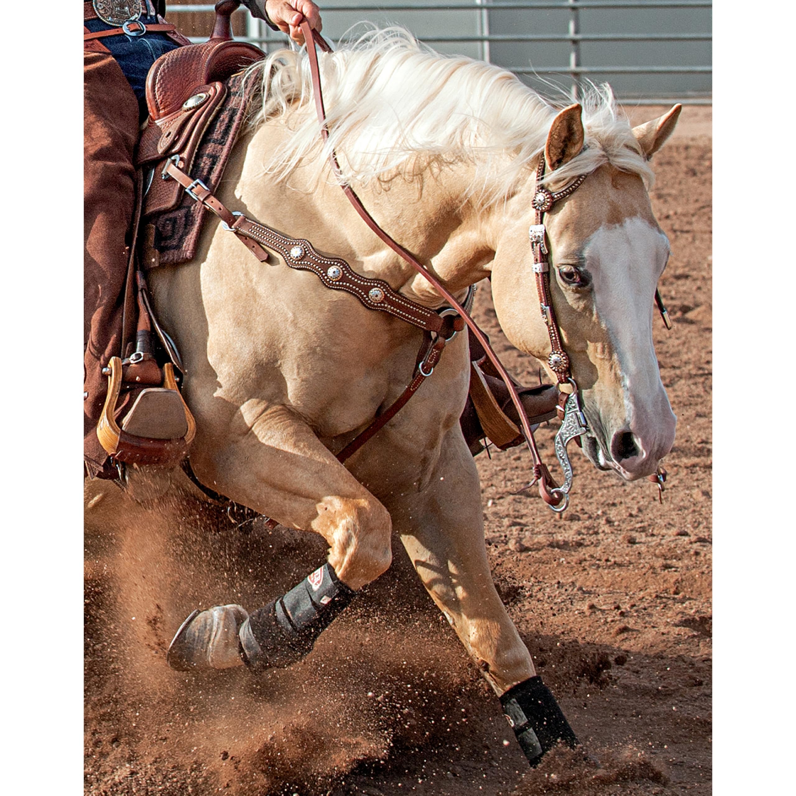 Weaver Leather Stacy Westfall Showtime Collection