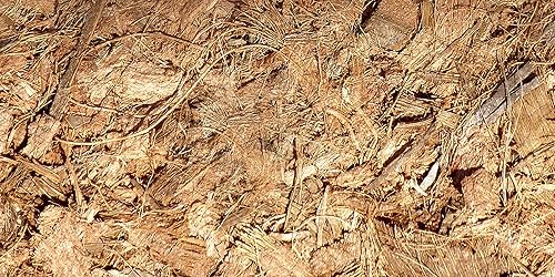 Miniatura 5 de Mantillo de fibra de coco de 17 libras, paquete de 4.4 lbs de 2 – 100% cáscara de coco natural, piezas trituradas y cortadas, gran cobertura del