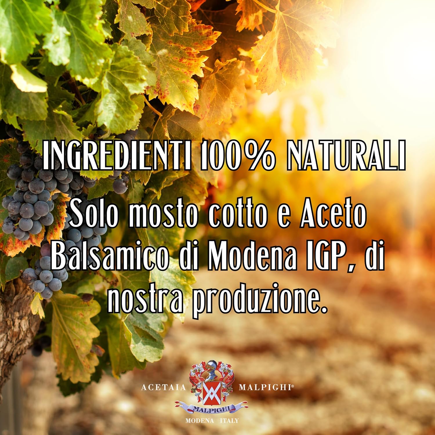 Balsamic Dressing "Saporoso" 6 years old - 6.8 oz. (200 ml)