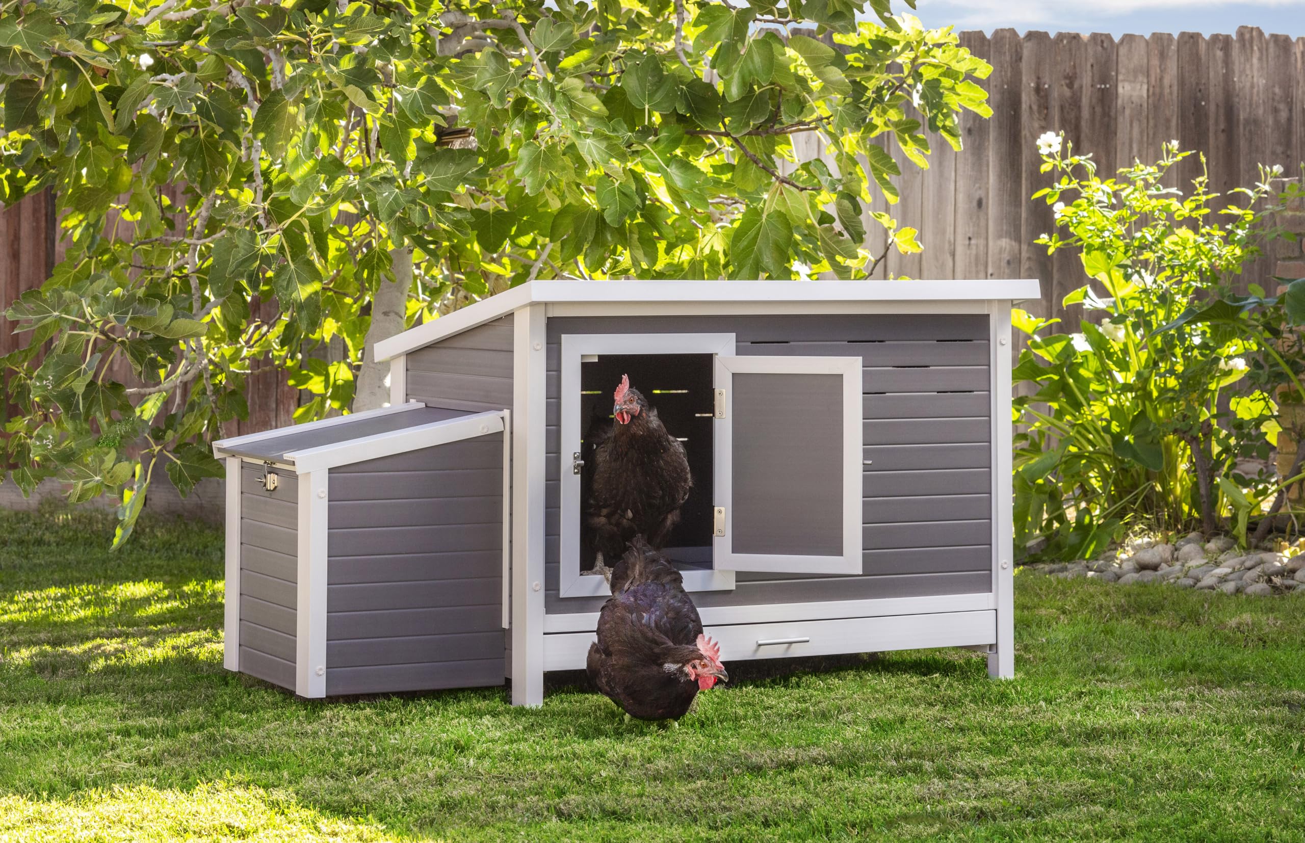 Gallinero Atlanta para Exterior, Capacidad 4-6 Aves - ECOFLEX Material sostenible y Duradero. Fácil Montaje