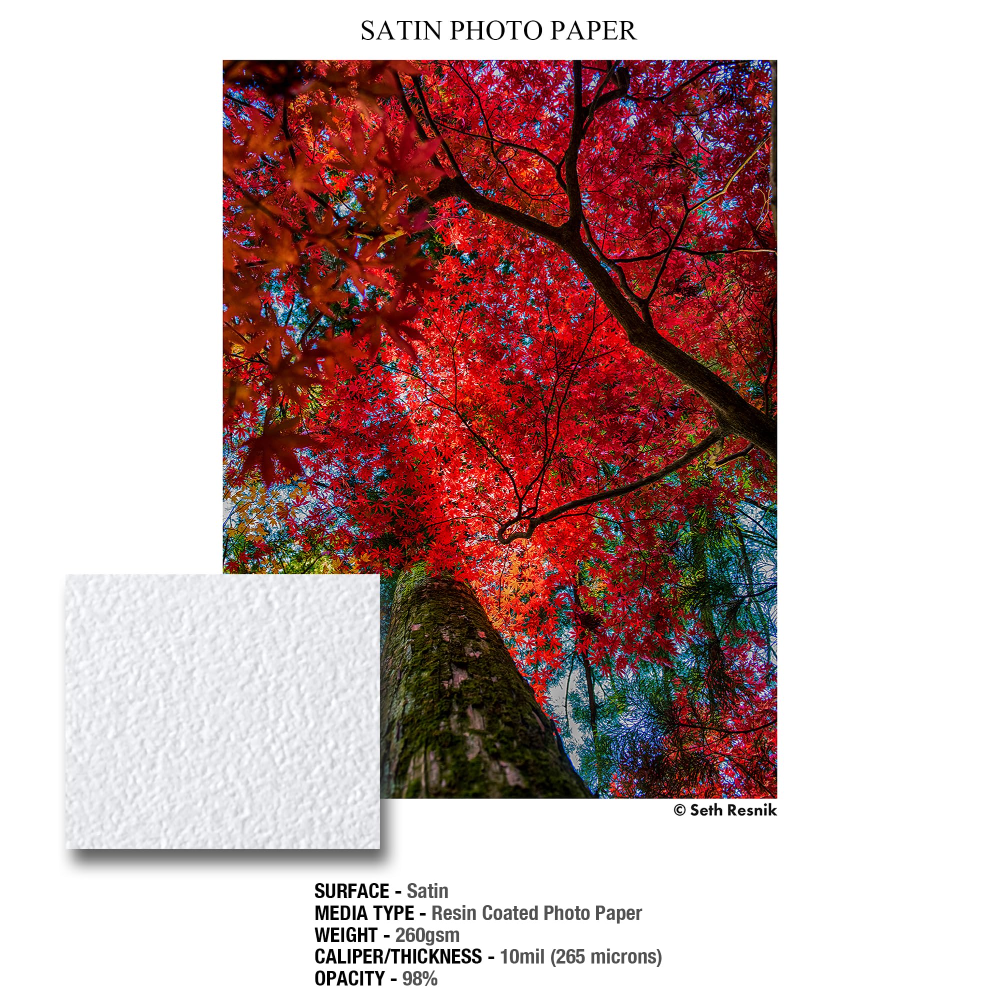 Image secondaire de Ilford Galerie Lustre Satiné Feuilles de Papier Photographique, 260g, A3+, 25 Feuilles