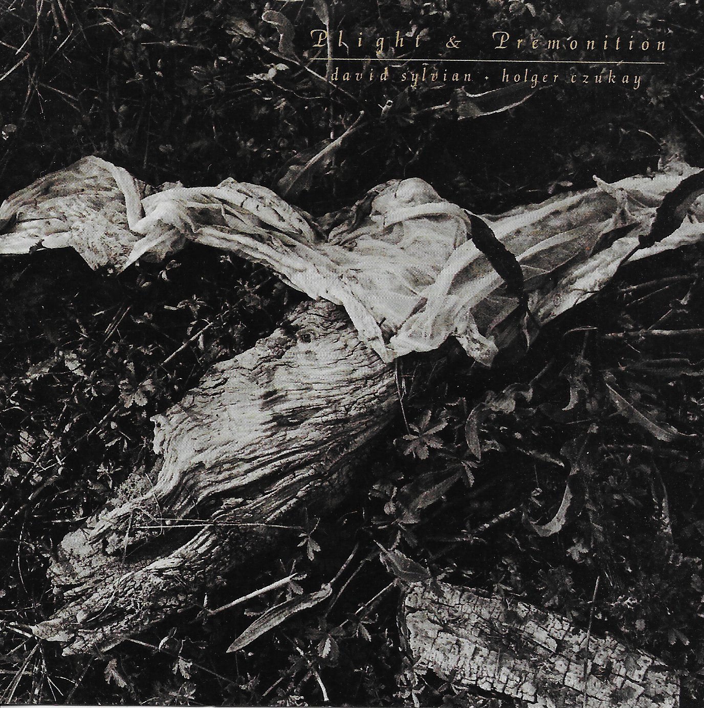 Plight and Premonition [Audio CD]