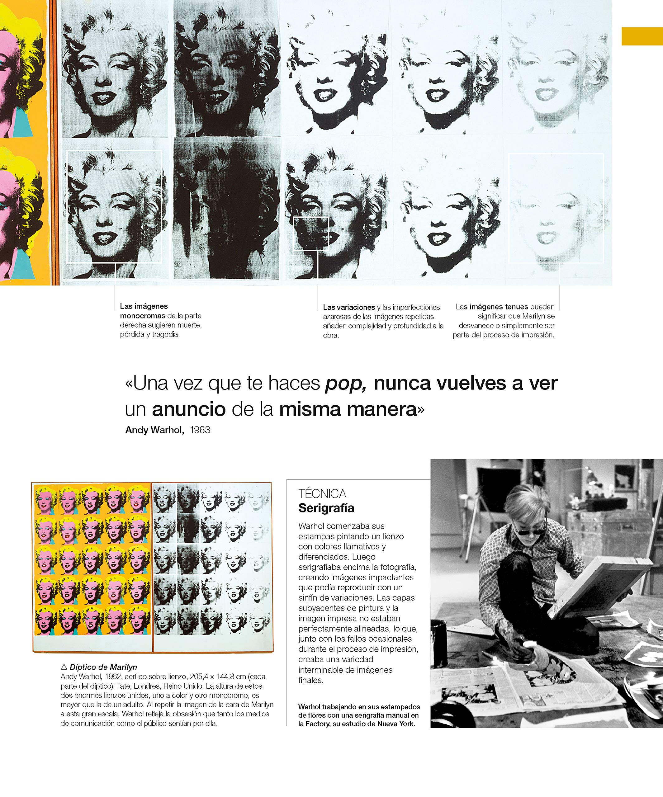 Historia De La Pintura: Cómo se hizo arte: 36 (Grandes temas)