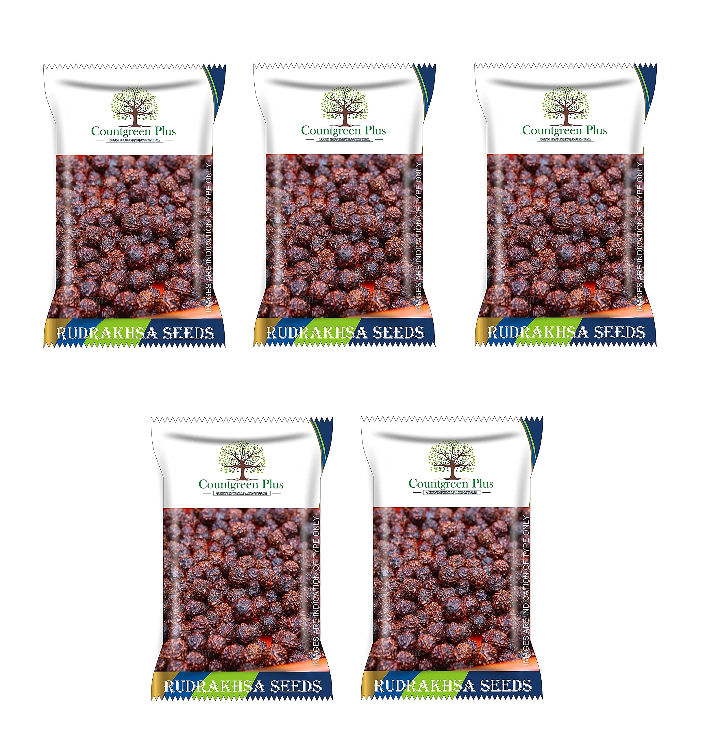 See full amazon price history chart for Countgreen Plus Rudraksha/Elaeocarpus Ganitrus Rudraksh Holy Tree Seeds For Planting (Pack of 25 Seeds) Countgreen Plus Rudraksha/Elaeocarpus Ganitrus Rudraksh Holy Tree Seeds For Planting (Pack of 25 Seeds) (B0BNR2L8DN) Amazon Price History, Amazon Price Tracker