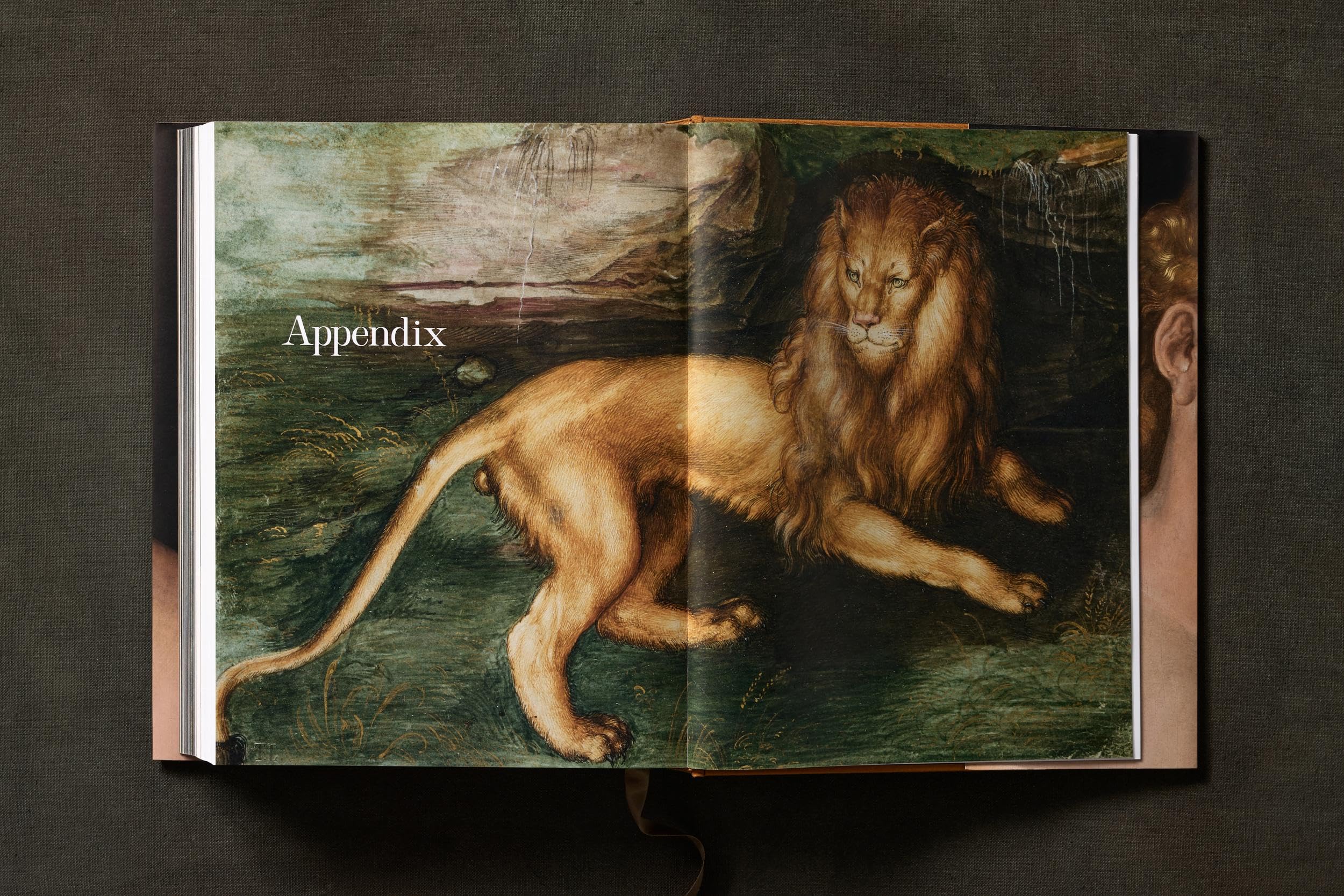 Albrecht Dürer: The Complete Paintings. Selected Drawings and Prints