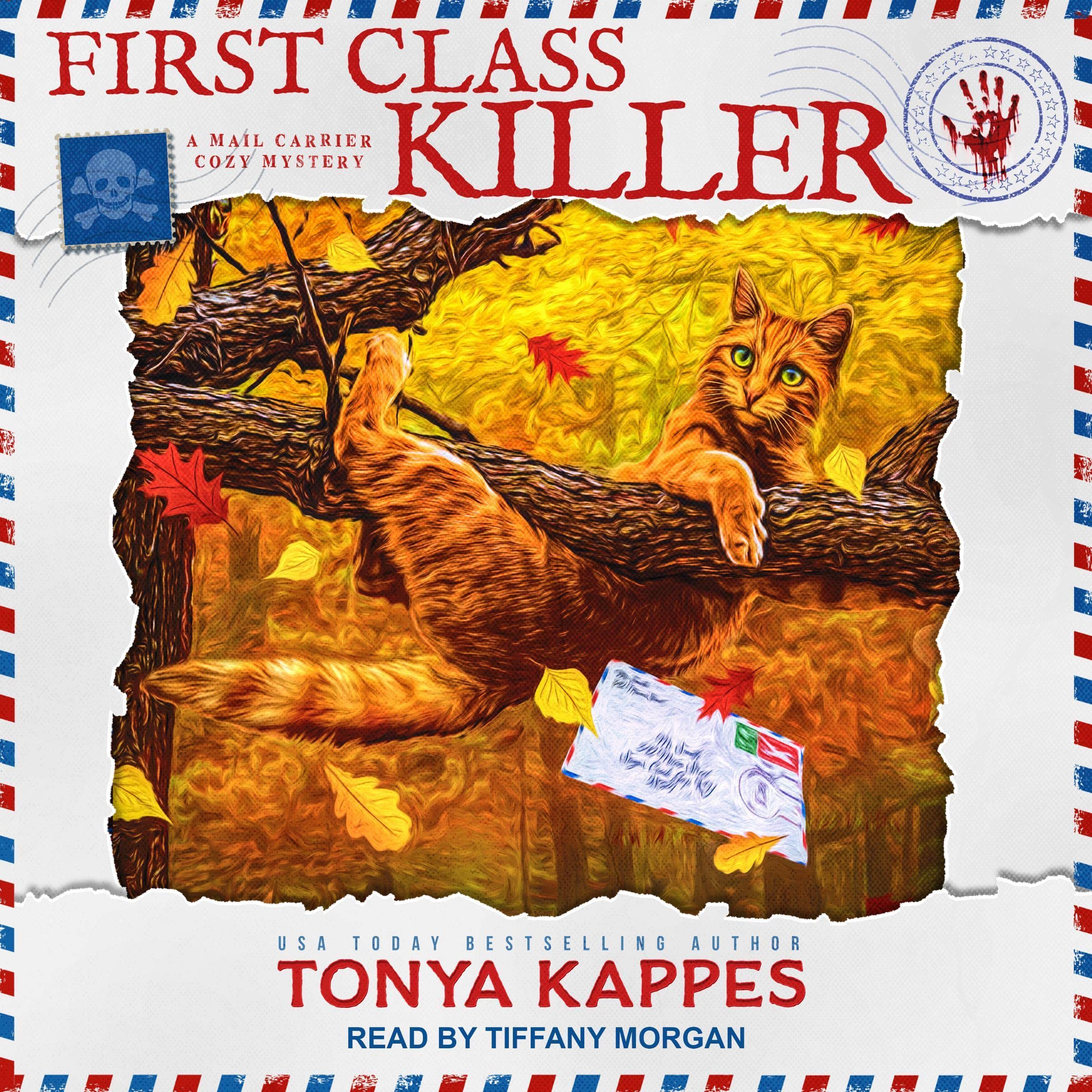 Cover art for First Class Killer