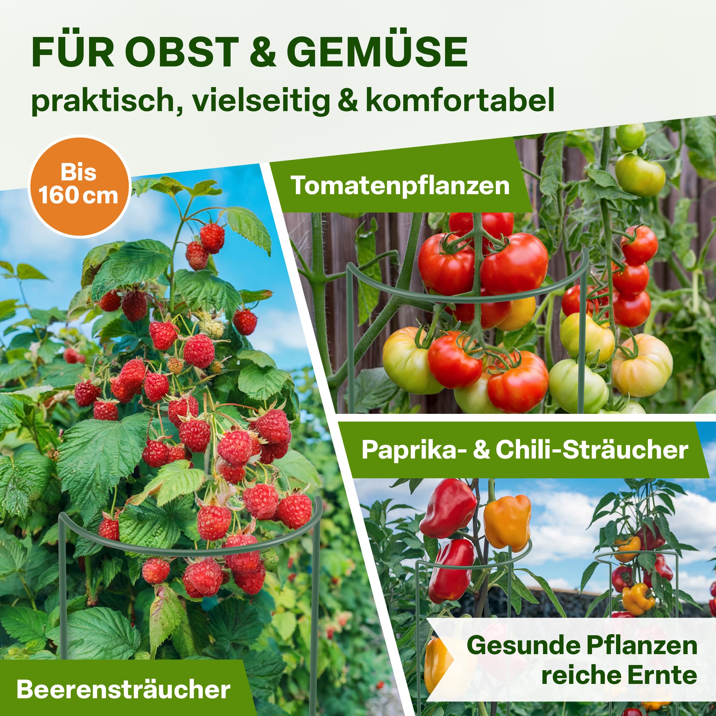 TTL GARDEN Strauchstützen 100cm x 40cm 10er Set + Klettband - Pflanzenstütze Stahl rostfrei Kunststoff beschichtet - Pflanzenhalter Staudenhalter Blumenhalter Hortensie Rose Pfingstrose Ø 5,5mm grün