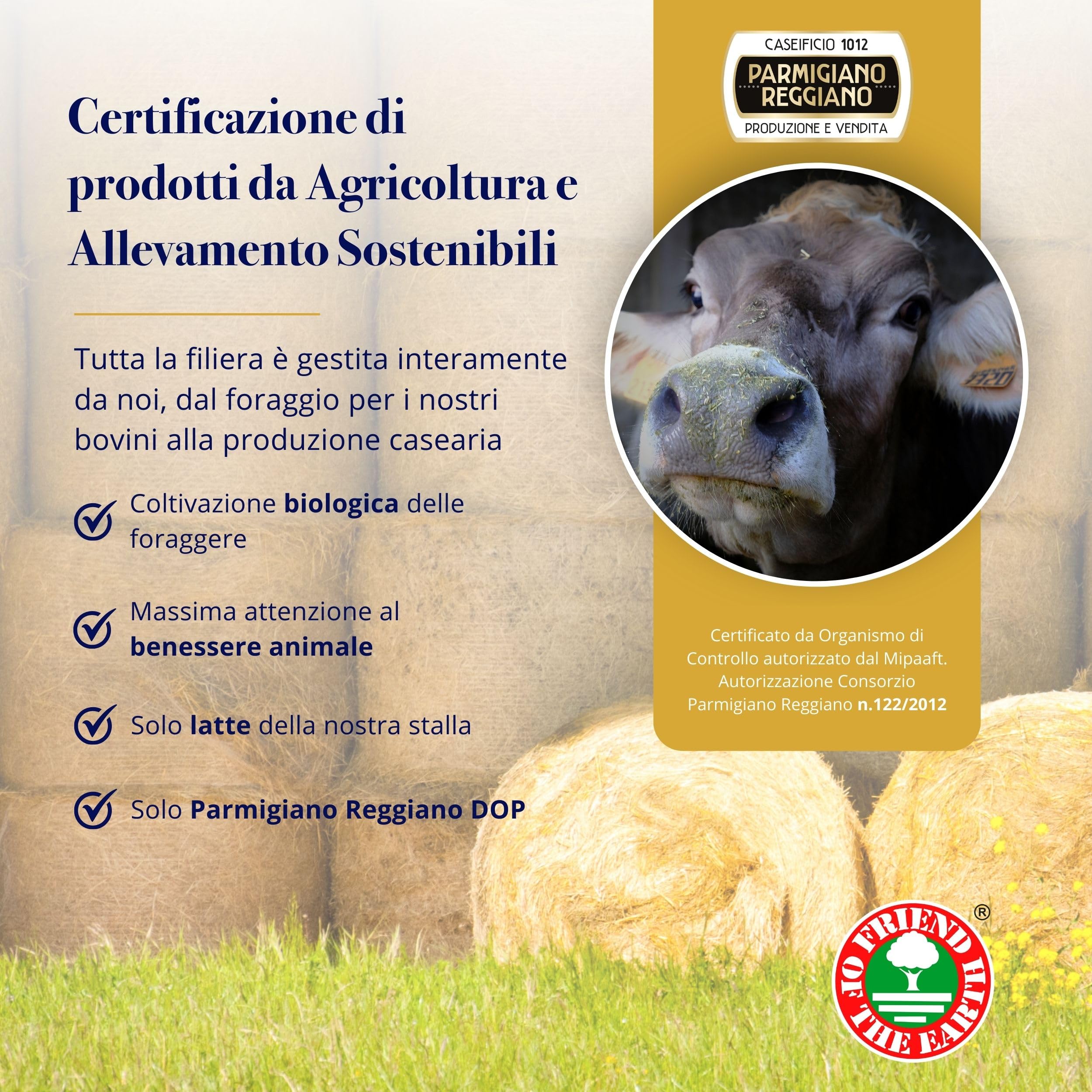 Parmigiano Reggiano Dop 14 mesi da Allevamento e Agricoltura Sostenibili - Premiata Produzione Artigianale dal 1949 - Formaggio Naturalmente Privo di Lattosio ANTICA LATTERIA DUCALE (1kg - 2pz)