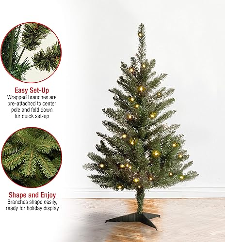 Miniatura 4 de National Tree Company Mini árbol de Navidad artificial, verde, abeto Kingswood, incluye soporte, 3 pies