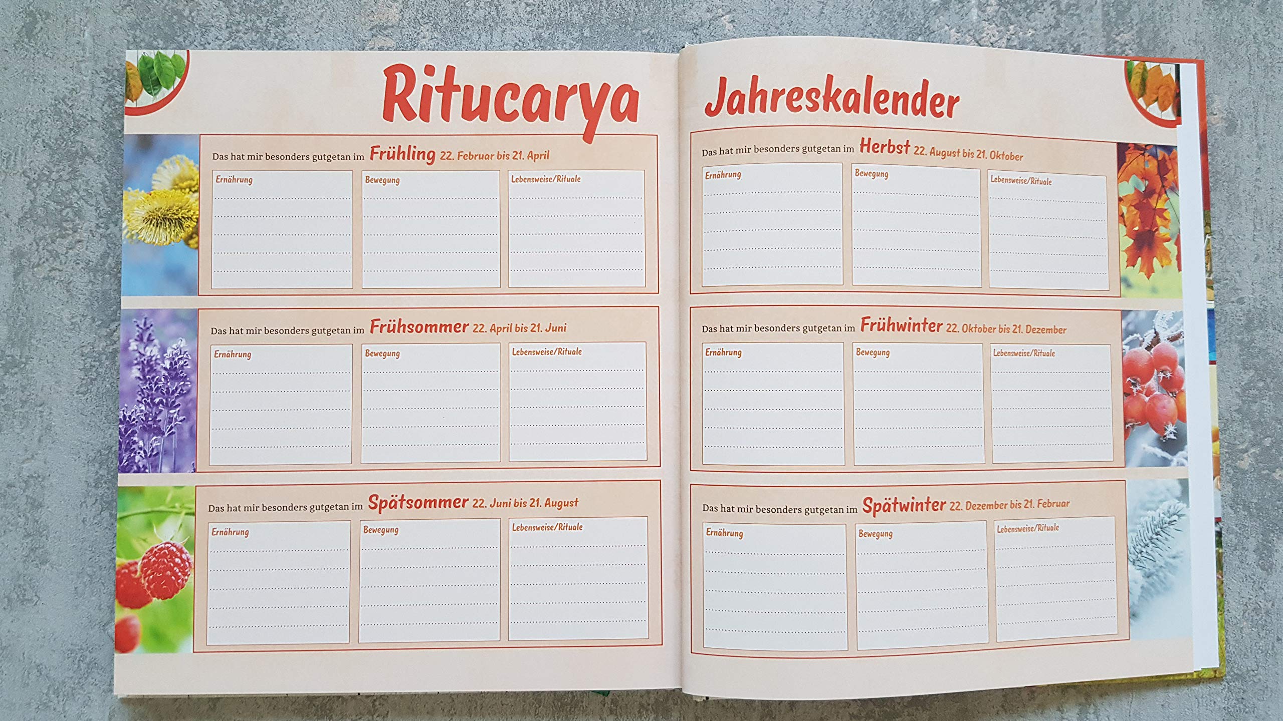 Ritucarya: Mit Ayurveda durch das Jahr (Ayurveda Buch, ayurvedische Küche & ayurvedisch leben)