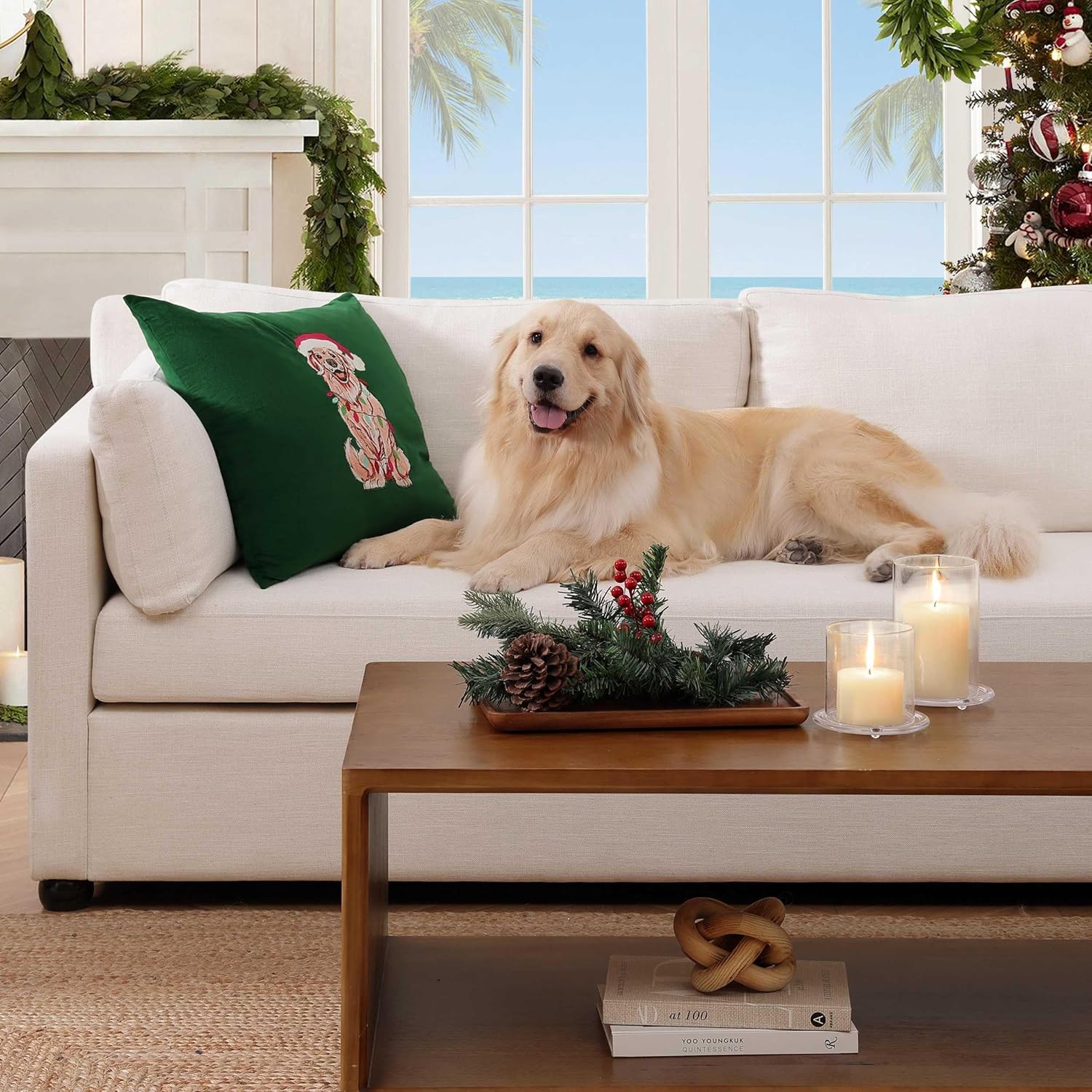 Tommy Bahama - Decorative Pillow, Soft Printed Throw Pillow with Zipper Closure, Square Pillow for Bed or Couch (Holiday Retriever Green, 20" x 20")