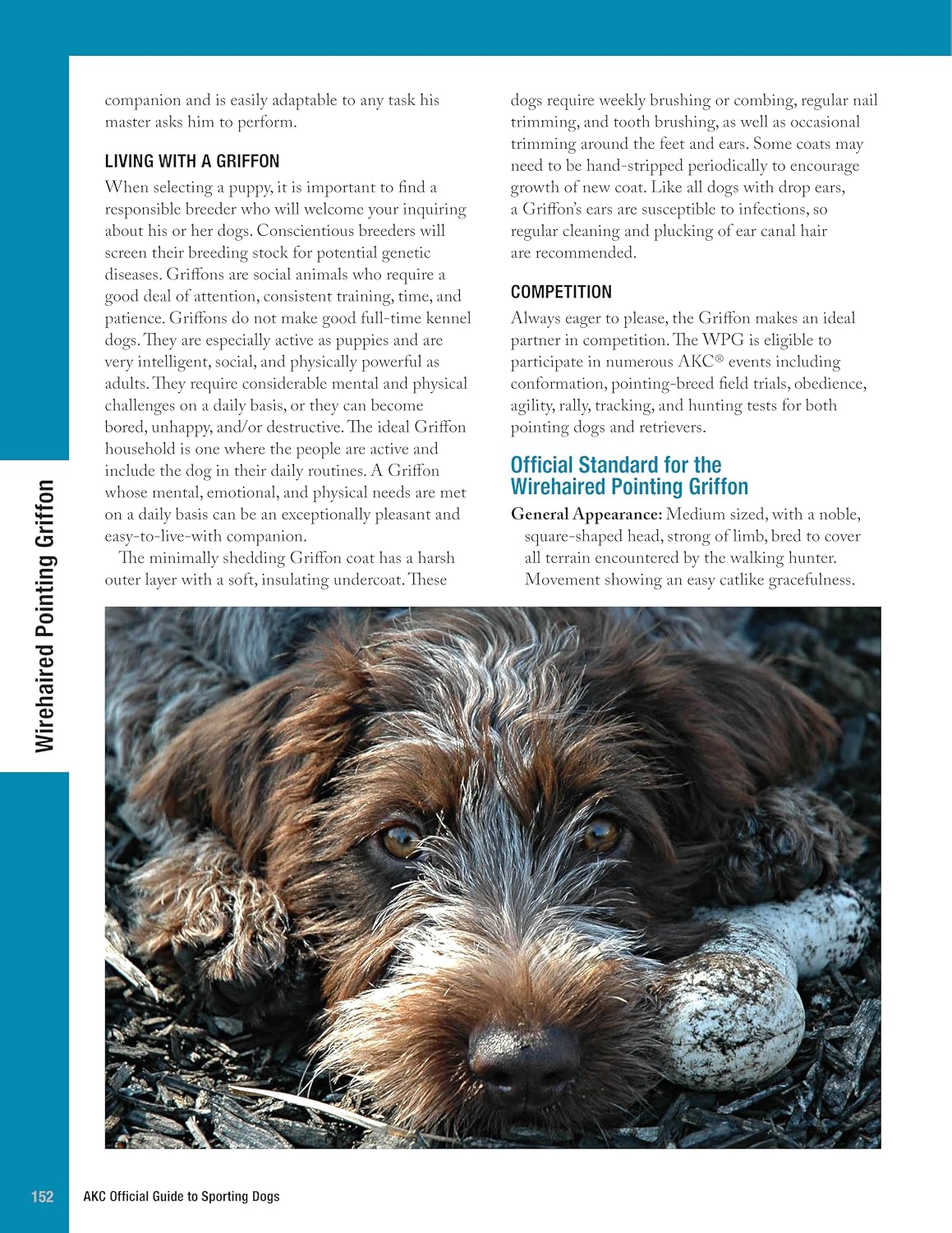 AKC Official Guide to Sporting Dogs: Featuring Lovable Breeds including the Golden Retriever, Labrador Retriever, Pointer, and English Setter (CompanionHouse Books) From the American Kennel Club