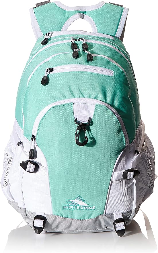 Amazon.com | High Sierra Loop-Backpack 