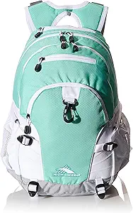 High Sierra Loop Backpack, travel or work backpack with tablet sleeve