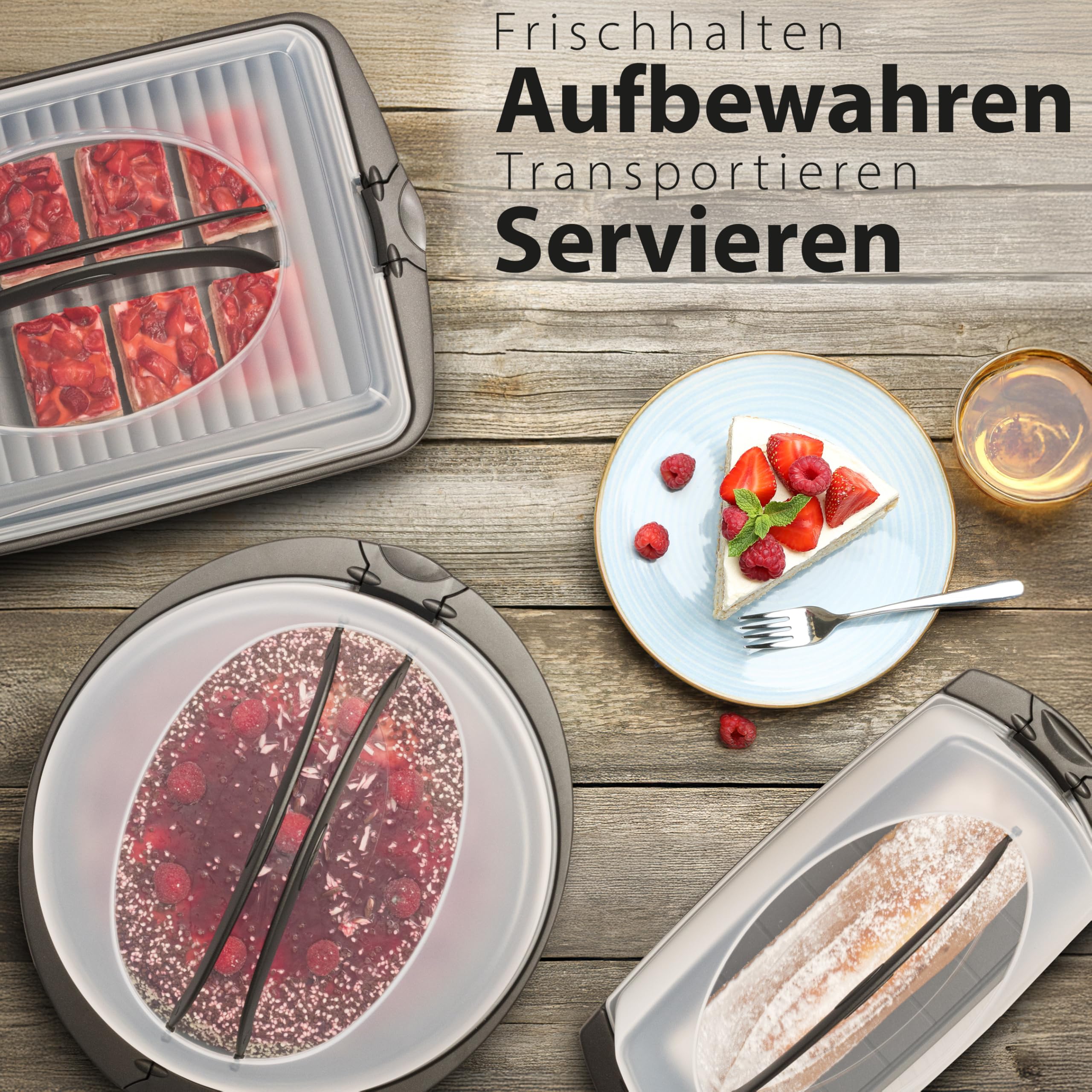 Hausfelder Transportbox Set 3er Pack, 3er Set, Anthrazit
