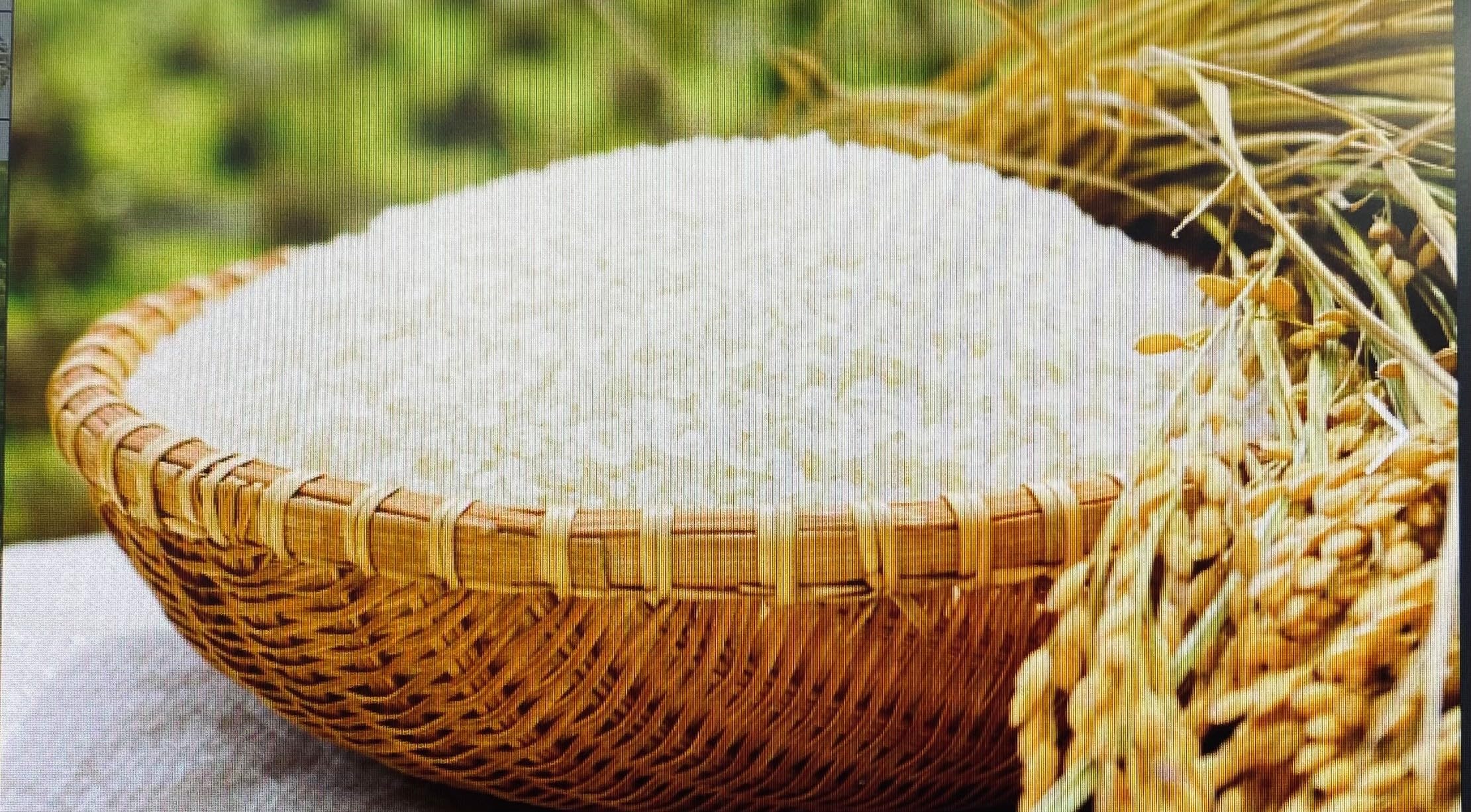 Amazon.co.jp: 新米 令和7年 茨城県産こしひかり5Kg精米 : 食品・飲料