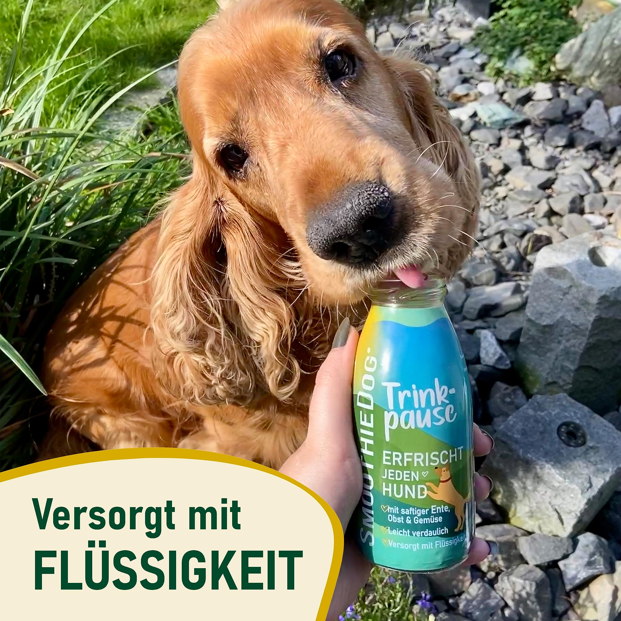 12erPack SmoothieDog Trinkpause mit Ente je 250ml Hundesmoothie Zuckerfrei/Glutenfrei