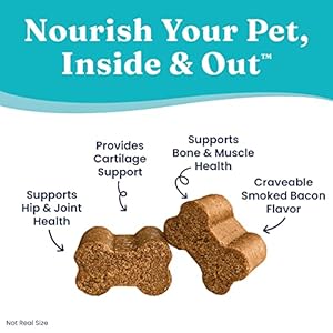 Solid Gold Glucosamine for Dogs Hip and Joint Supplement – Glucosamine Chondroitin MSM for Dog Pain Relief – Leaps & Hounds Chews for Dog Arthritis Pain Relief & Overall Mobility – 120 Soft Chews