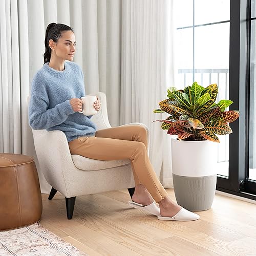 Miniatura 6 de Dupray Bloom Purificador de aire para habitaciones grandes con maceta o diseño de mesa decorativa personalizada  Para el hogar, dormitorio, oficina,