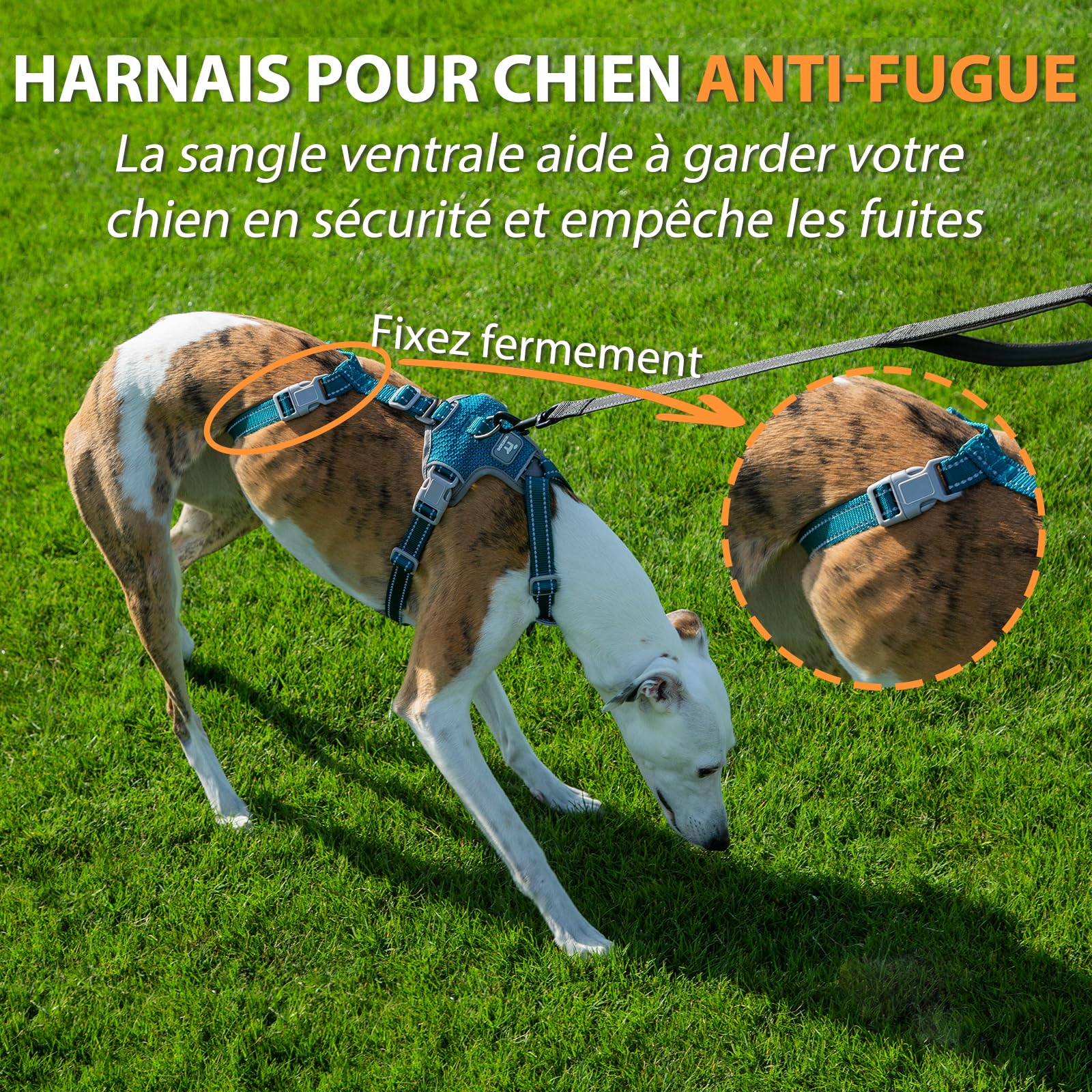 Huntboo Harnais Anti-Fugue pour Chien, Harnais Réfléchissant Anti-Traction pour Petits, Moyens et Grands Chiens, Durable, Réglable et Respirant pour l’Entraînement et la Promenade (Bleu,S)