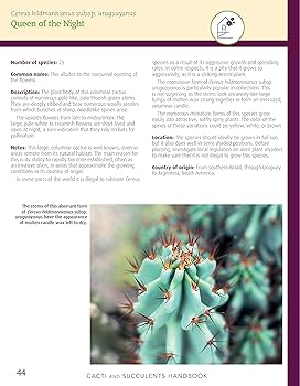Cacti and Succulents Handbook: Basic Growing Techniques and