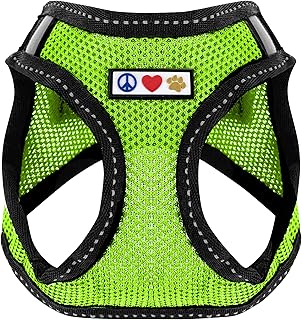 Pawtitas Dog Vest Harness Made with Breathable Air Mesh | All Weather Vest Harness for Extra Small Puppies and Large Cats with Quick-Release Buckle - Extra Small Green Mesh Dog Harness