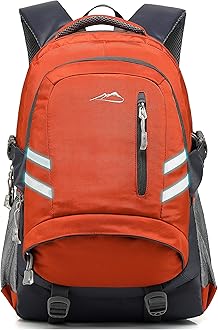 ProEtrade Backpack Bookbag for College Laptop Travel, Fit Laptop Up to 15.6 inch Multi Compartment with USB Charging Port Anti theft, Gift for Men Women (Orange)