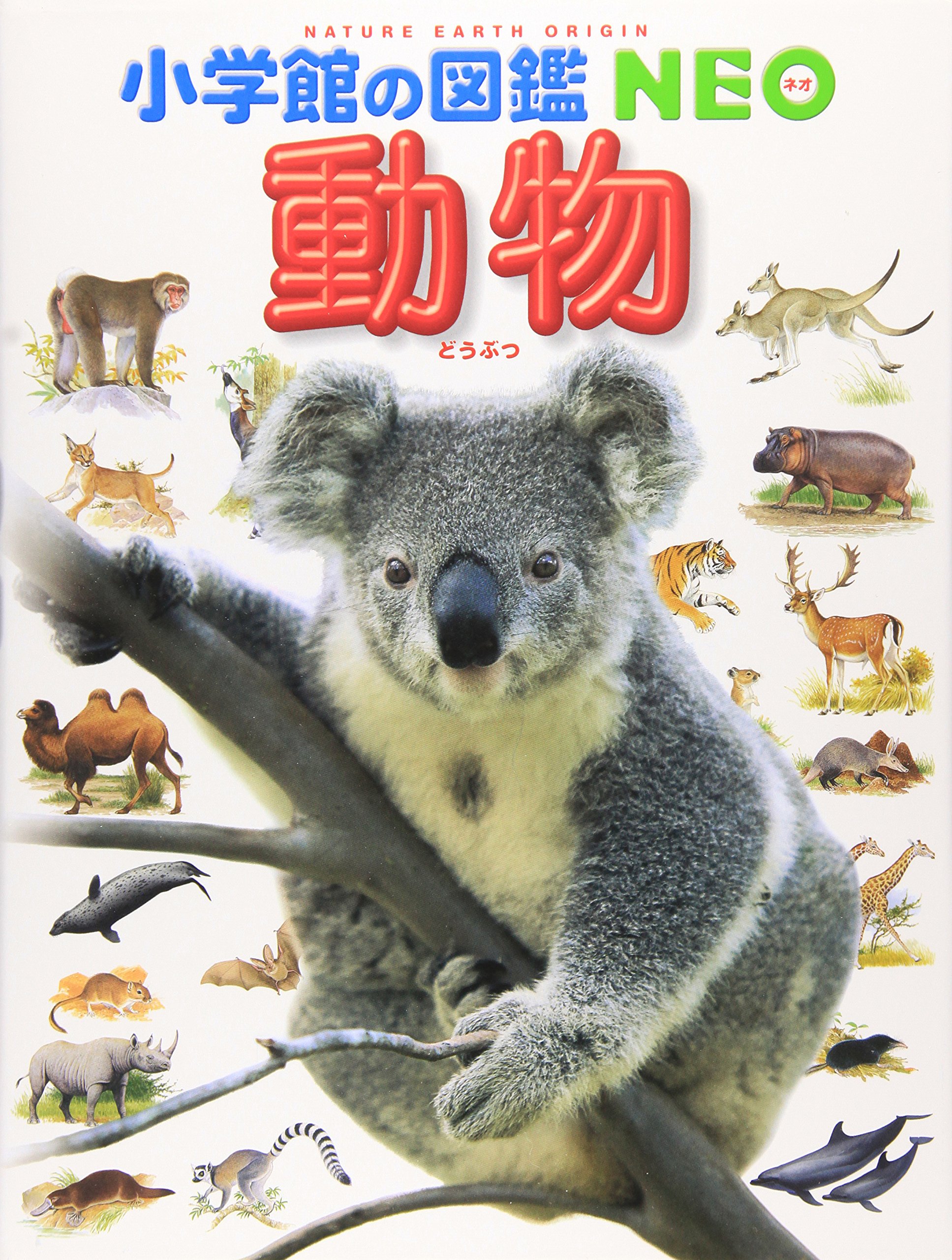 小学館の図鑑　NEO 小学館の図鑑NEO〔新版〕 鳥 DVD無し 図鑑 ネオ neo - メルカリ