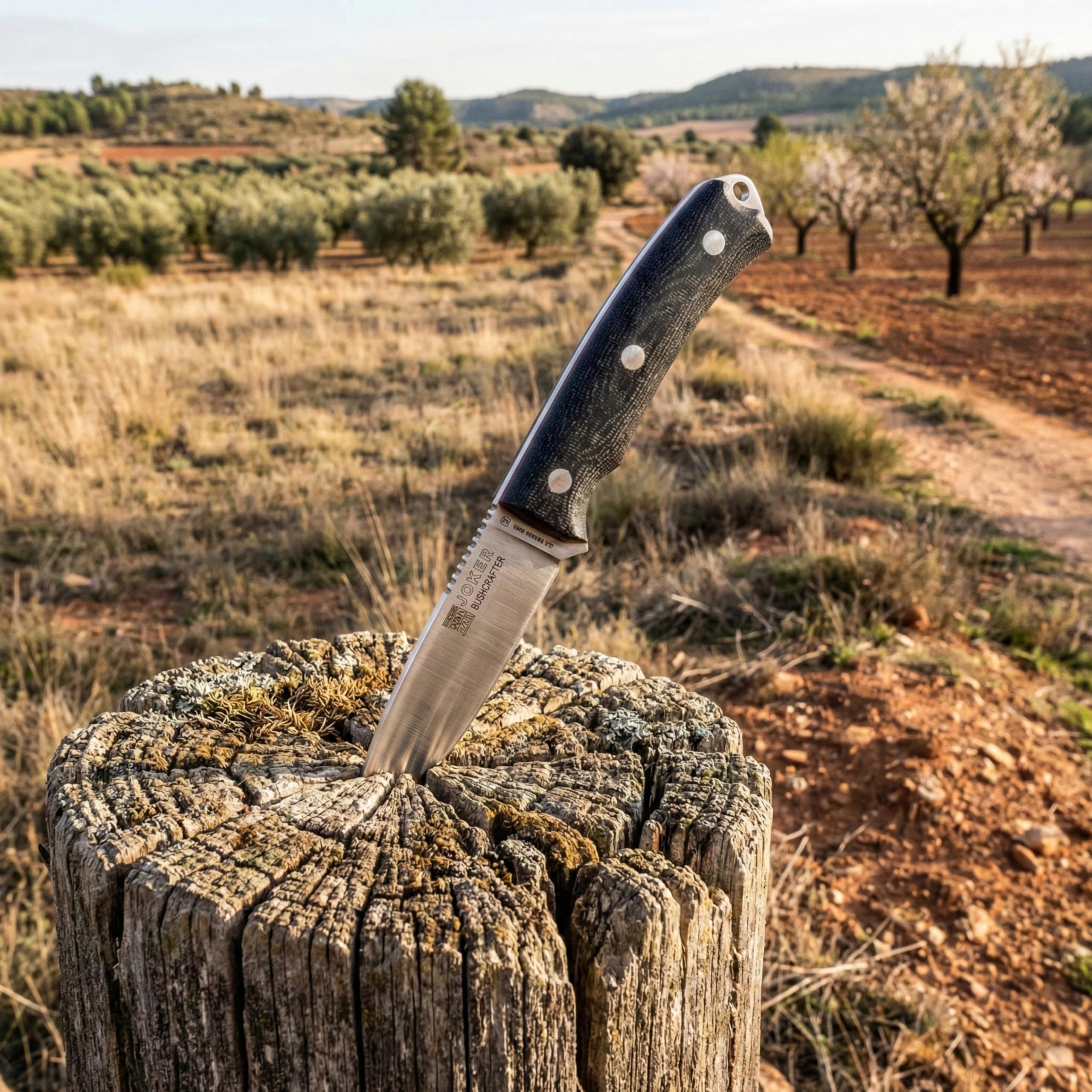 Joker Cuchillo Bushcraft deportivo Bushcrafter CM120-P, mango micarta negra, hoja de 10,5 cm, funda piel con pedernal y rascador, Herramienta de pesca, caza, camping y senderismo