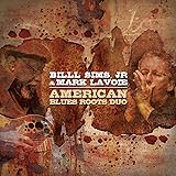 American Blues Roots Duo