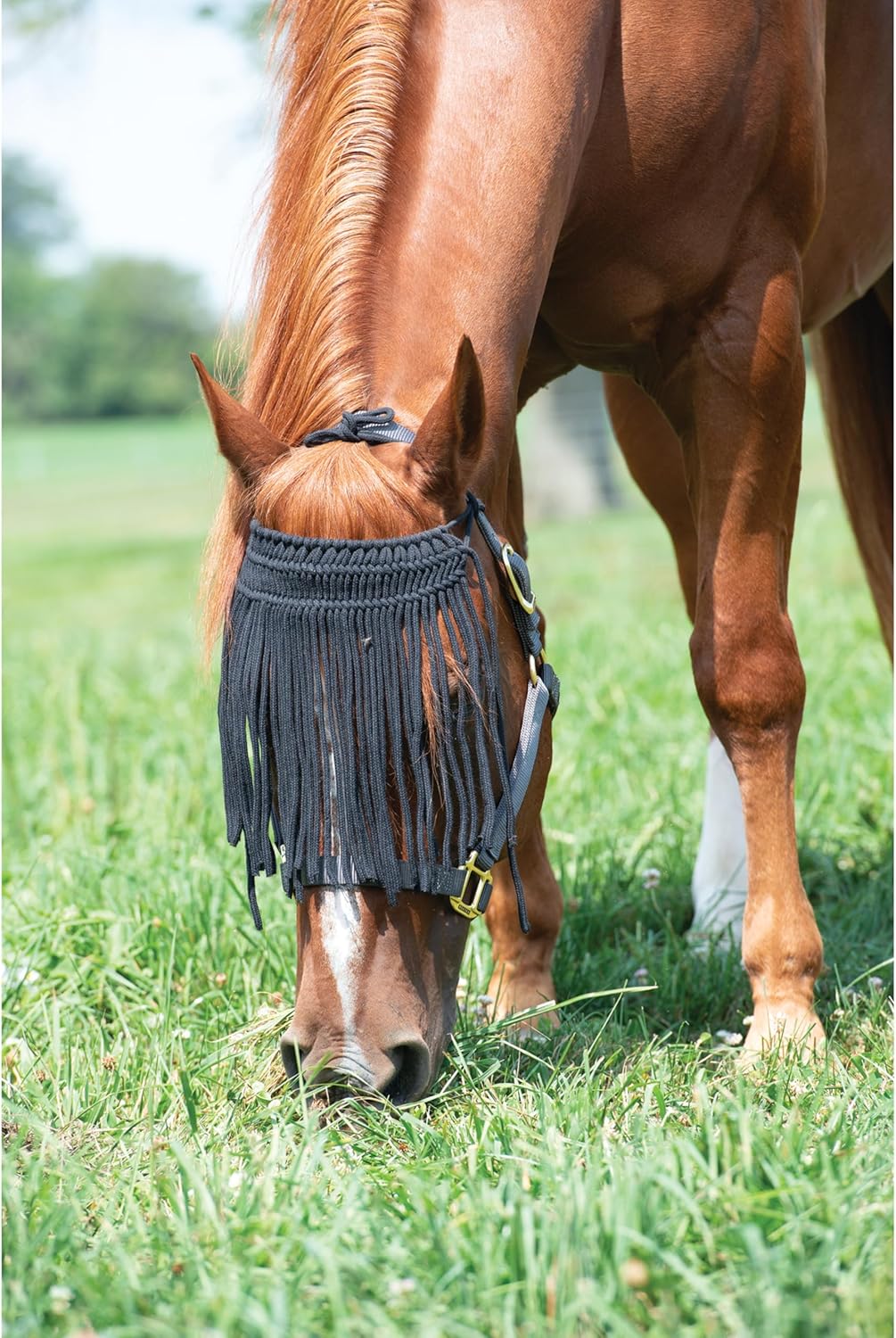 Weaver Leather Horse Fly Bonnet with Cords